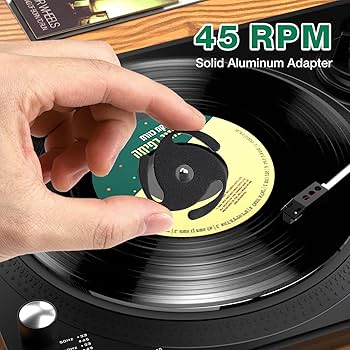 ミュージシャン DISH// 2025.09.20 『ROCK IN JAPAN FES.2025』 video by @rayotabe